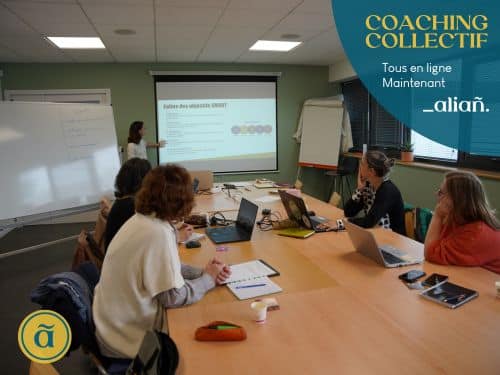 Coaching collectif Optimisez votre site web